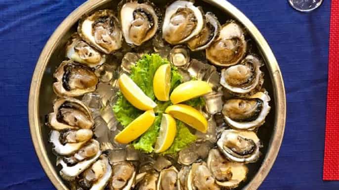 dubrovnik ston exclusive tour with oyster tasting