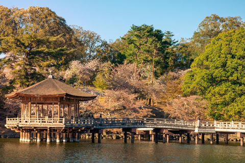 Tokio: tour turístico privado de día completo con conductor de habla inglesa