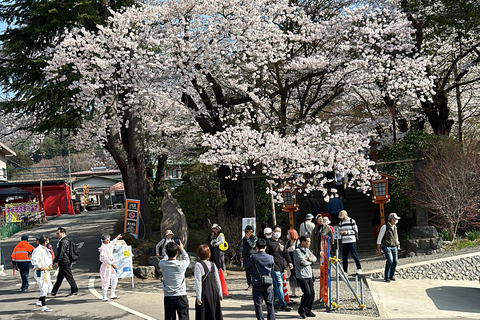 Mt Fuji Sightseeing Private tour with English Speaking Guide