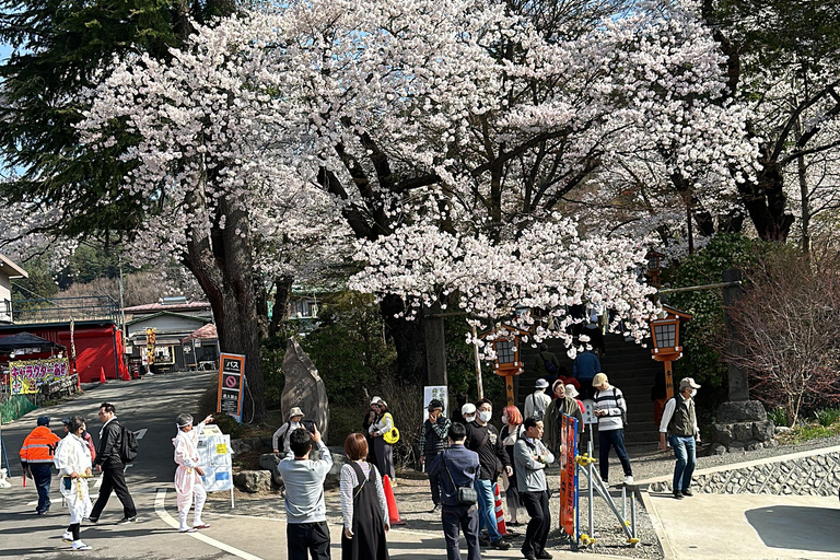 Mt Fuji Sightseeing Private tour with English Speaking Guide