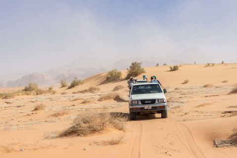 Da Aqaba: gita giornaliera privata al Wadi Rum con prelievo dall'hotel