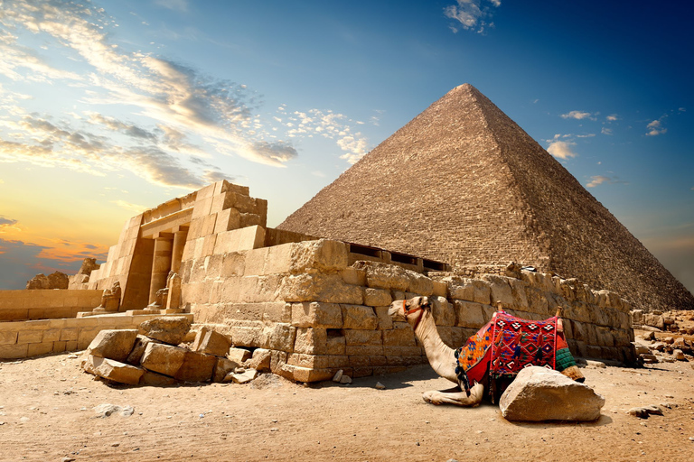 From Eilat: Cairo Private 1-Day Tour