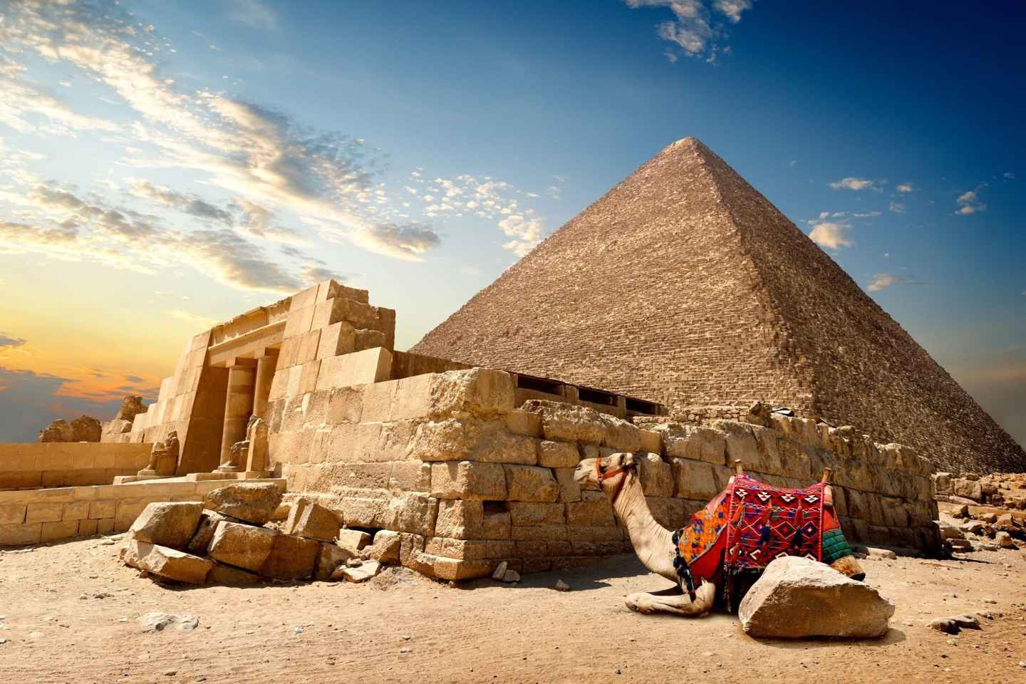 Von Eilat: Kairo Private 1-Tages-Tour