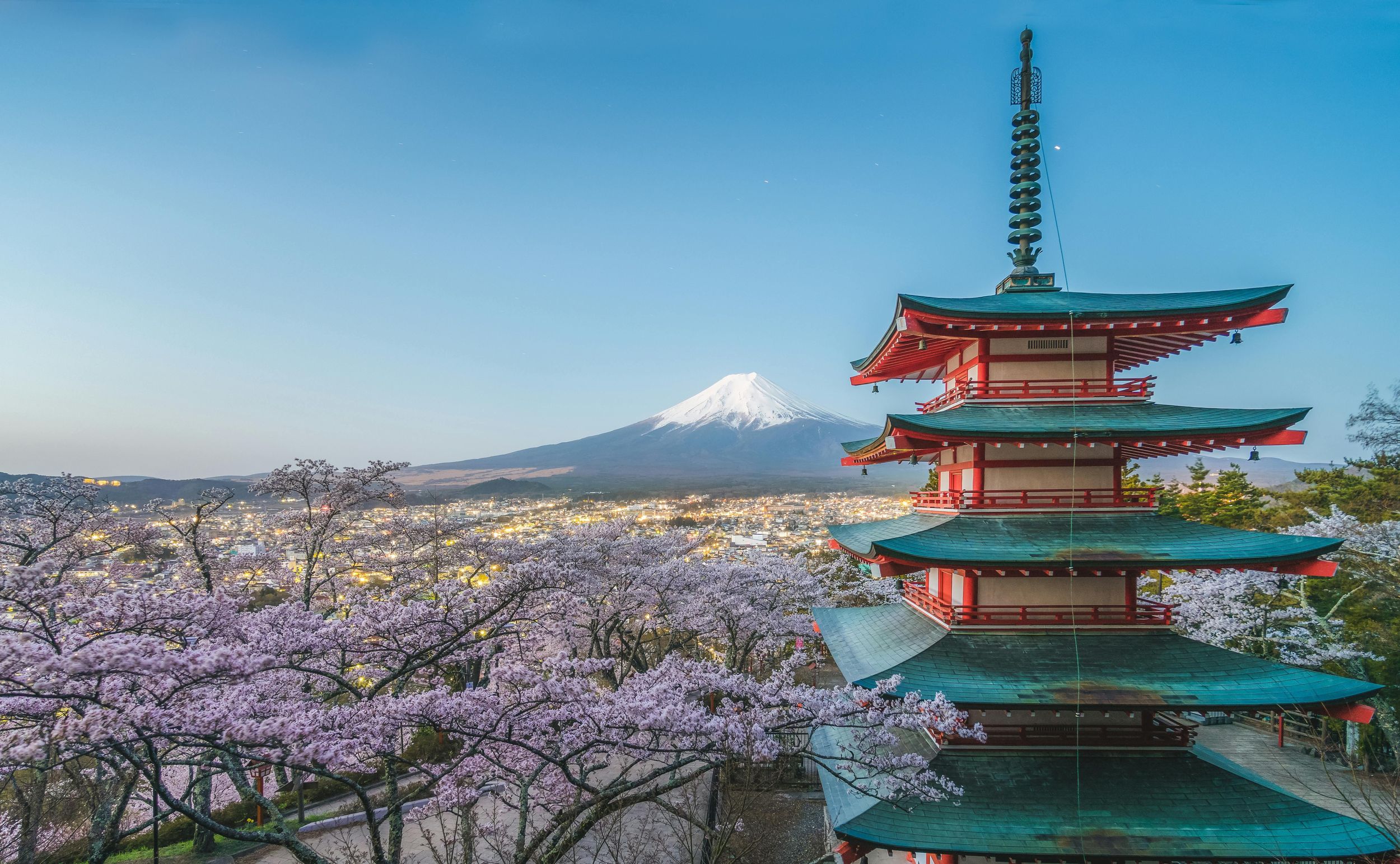 Tokio: Individuelle & private Tour zum Fuji mit Fahrer