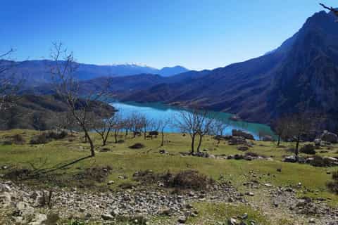 Tirana: Gamti Mountain Hike with Lake Views