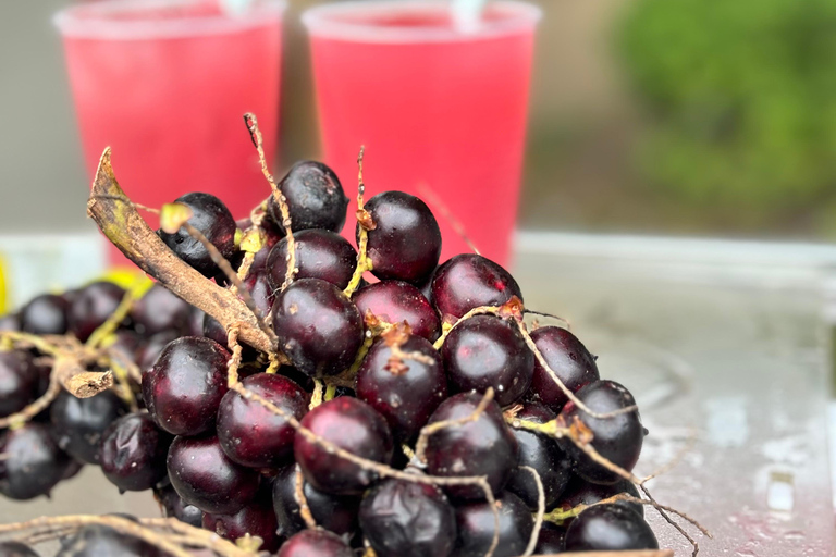 Visita gastronómica y fotos profesionales de la ciudad viejaOpción privada