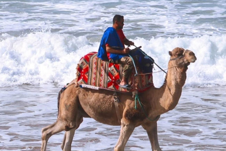 Agadir: Taghazout, färgglad by och utflykt till Timlaline-öknen