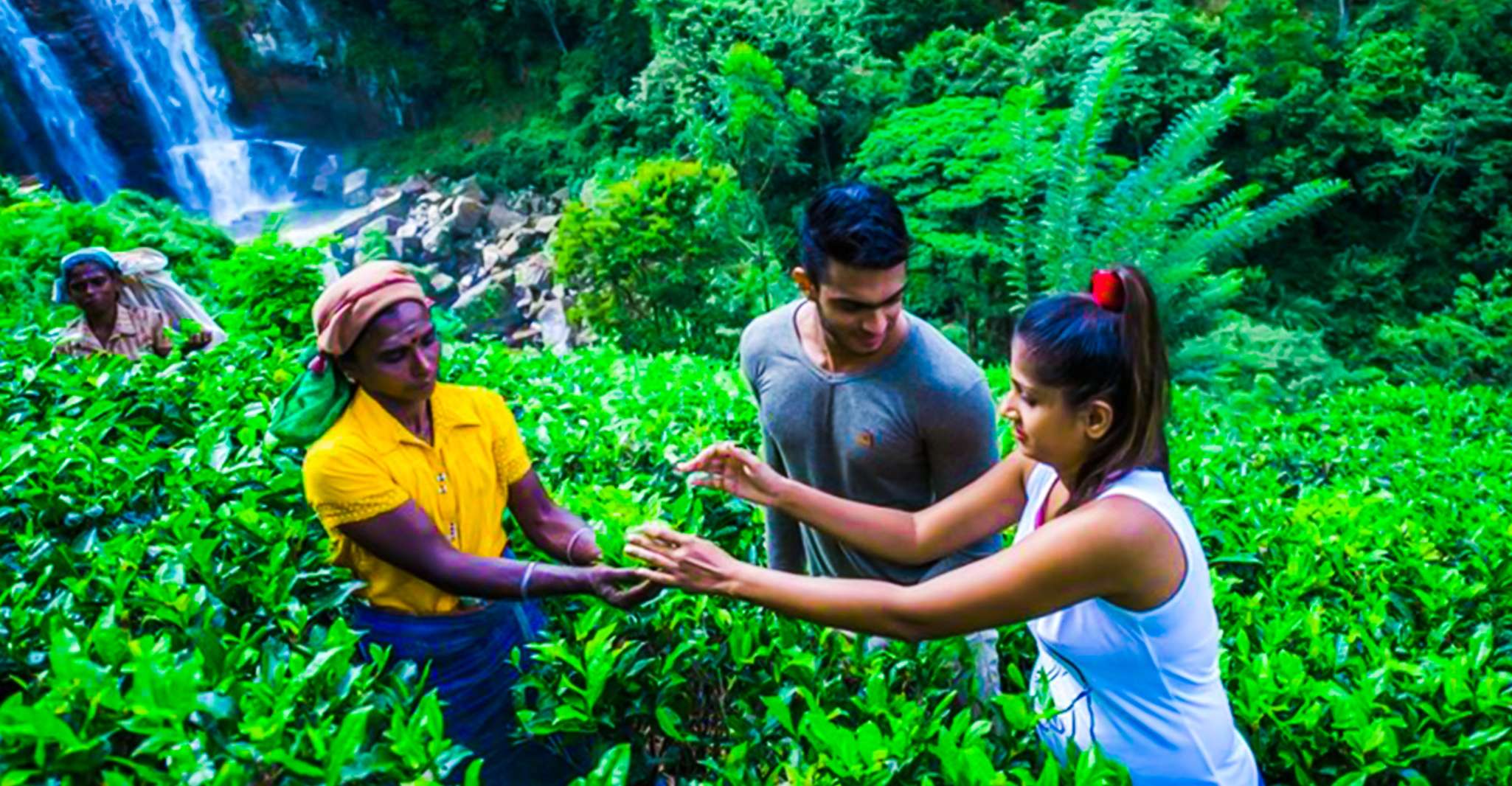 Village Trekking Tour at Ramboda - Housity