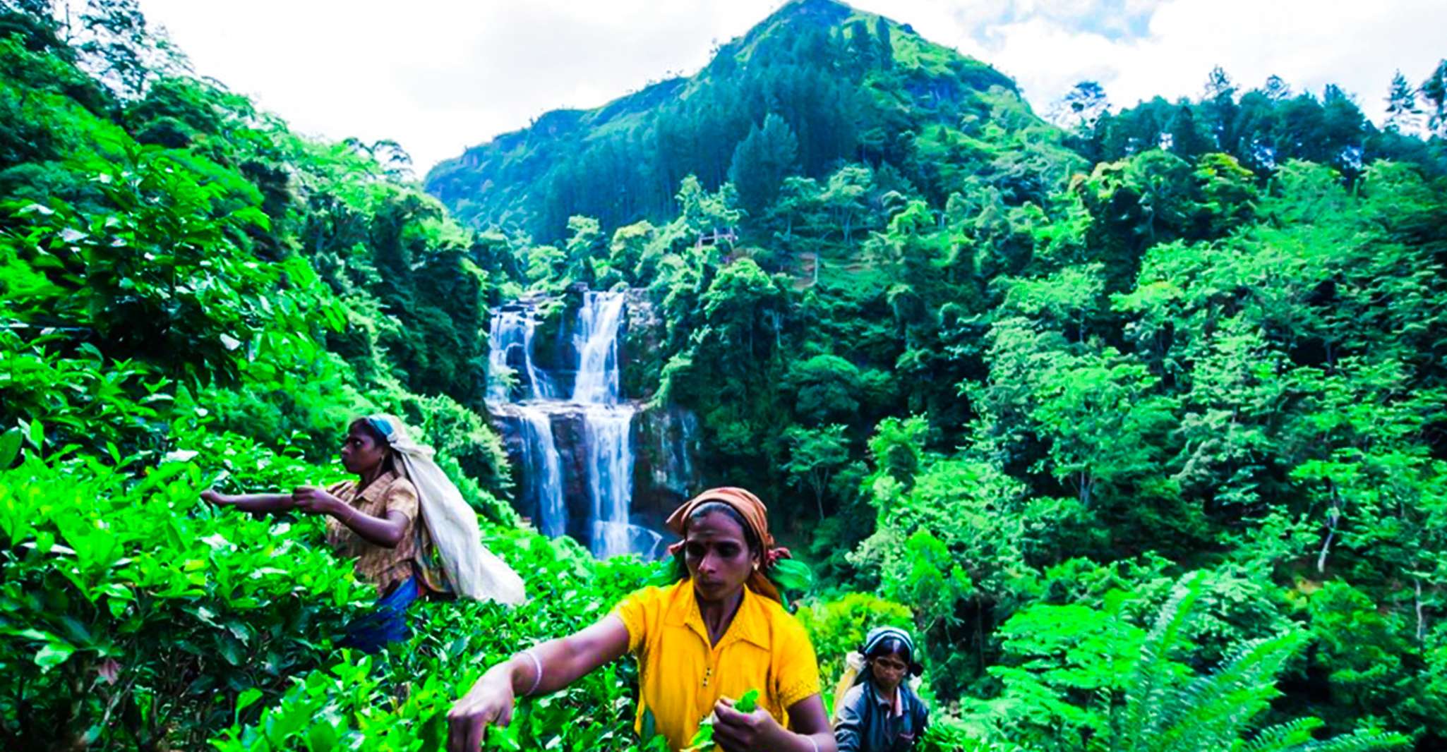 Village Trekking Tour at Ramboda - Housity