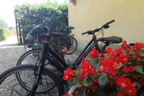 Touring bike rental to discover Tuscany