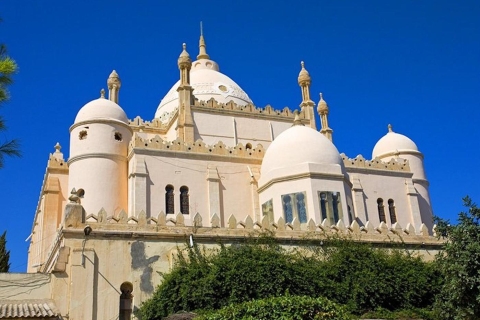 Tunis: Full-Day Local Towns Sightseeing Tour with Lunch