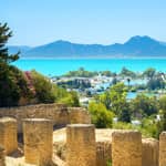 Tunisi: Cartagine, Bardo, Sidi Bou Said e Medina con pranzo