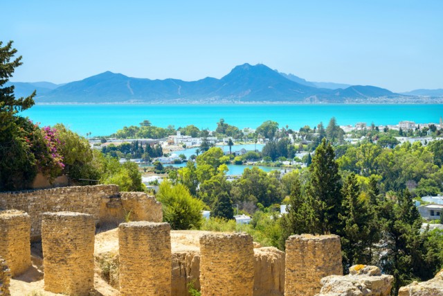 Visit Tunis Full-Day Sightseeing Tour with Lunch in La Marsa, Tunisia