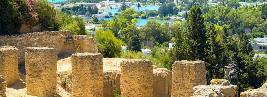 Tunis : Carthage, Bardo, Sidi Bou Said et médina avec déjeuner
