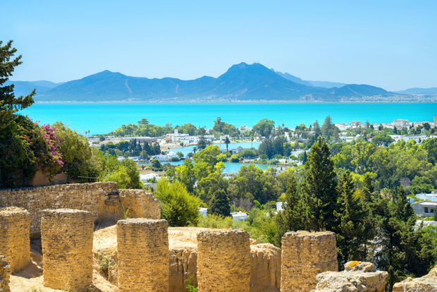 Tunisi: Cartagine, Bardo, Sidi Bou Said e Medina con pranzo