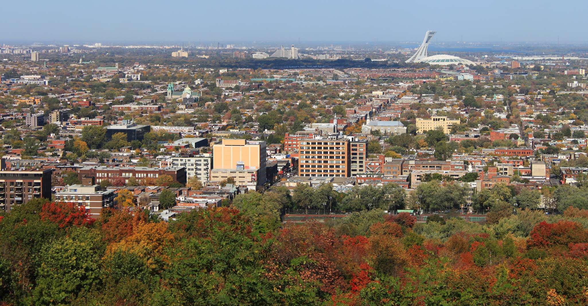 Montreal: Half-Day City Tour photo 4
