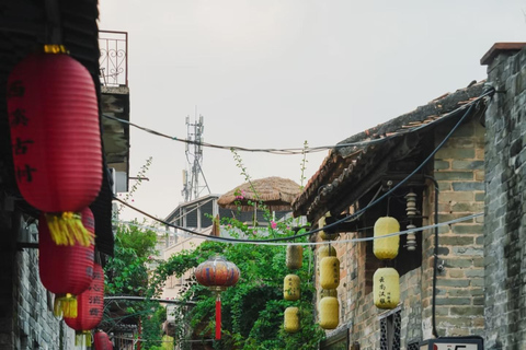 Guangzhou: Market, Ancient Town & Baomao Garden Private Tour Guide for English