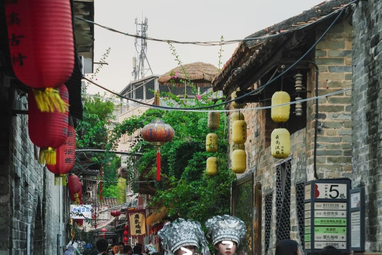 Guangzhou: Market, Ancient Town & Baomao Garden Private Tour Guide for English