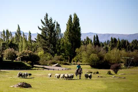 El Calafate: Day-Tour to Estancia 25 de Mayo with Meal