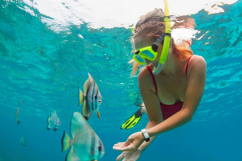 Bali: snorkelen in Blue Lagoon en privétour door Tanjung Jepun