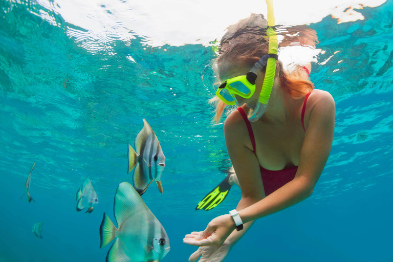 Bali: plongée en apnée dans le lagon bleu et visite privée de Tanjung Jepun