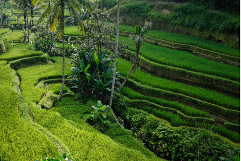 Bali: Secret Garden, Ulun Danu-templet och vattenfalletBali: Ulun Danu-templet, vattenfallet och den hemliga trädgården