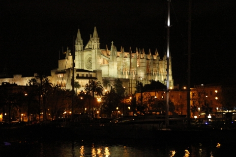 Palma de Mallorca: Fiesta Nocturna en Barco con DJ en Vivo
