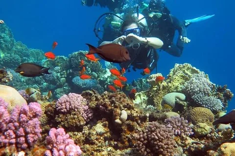 Sharm till Dahab: Colored Canyon, Blue Hole, Qude Bike, Kameler