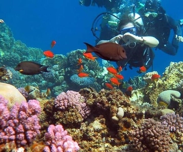 Sharm to Dahab: Colored Canyon, Blue Hole, Qude Bike, Camels
