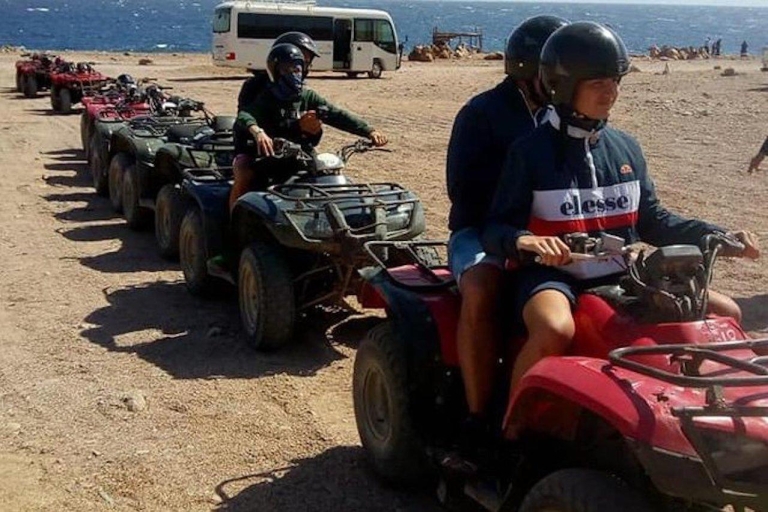 Sharm El-Sheikh: Parasailing, Camel Ride, Dive & Quad BikeSolo parapente