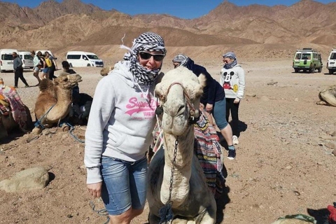 Charm el-Cheikh: parachute ascensionnel, balade à dos de chameau, plongée et quadTour complet