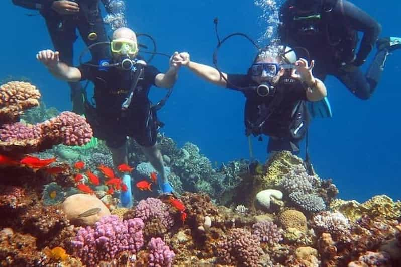 Sharm El Sheikh Einf Hrung In Das Tauchen Von Der K Ste Aus Getyourguide