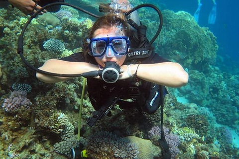 Sharm: Introduktionsdyk från stranden &amp; PADI-kurserSharm El-Sheikh: Introduktion till dykning från stranden