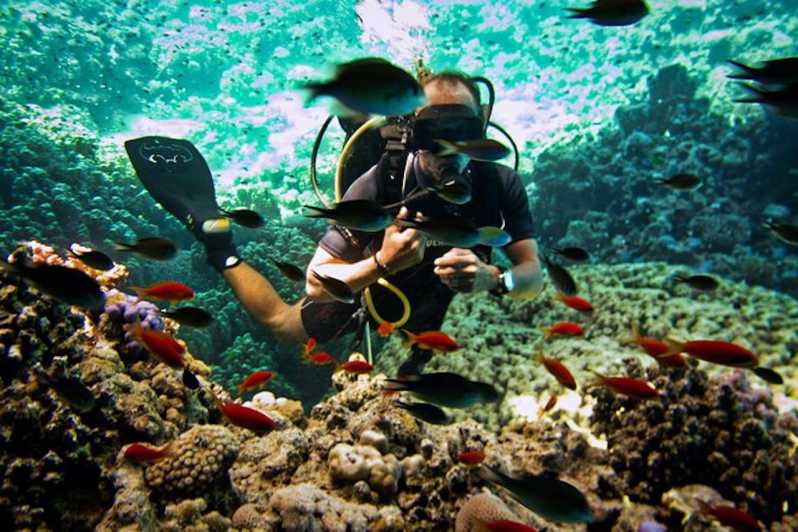 Ras Muhammad National Park: Diving Boat Trip from Sharm | GetYourGuide