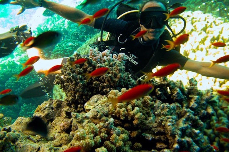 Ras Muhammad National Park: Diving Boat Trip from Sharm 3-Day Boat Trip with 6 Dives