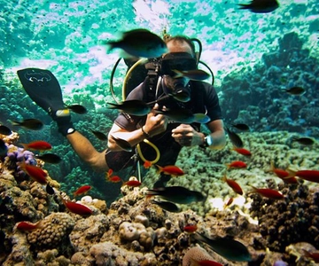 From Sharm or Dahab: Blue Hole & Canyon Sea Dive Experience