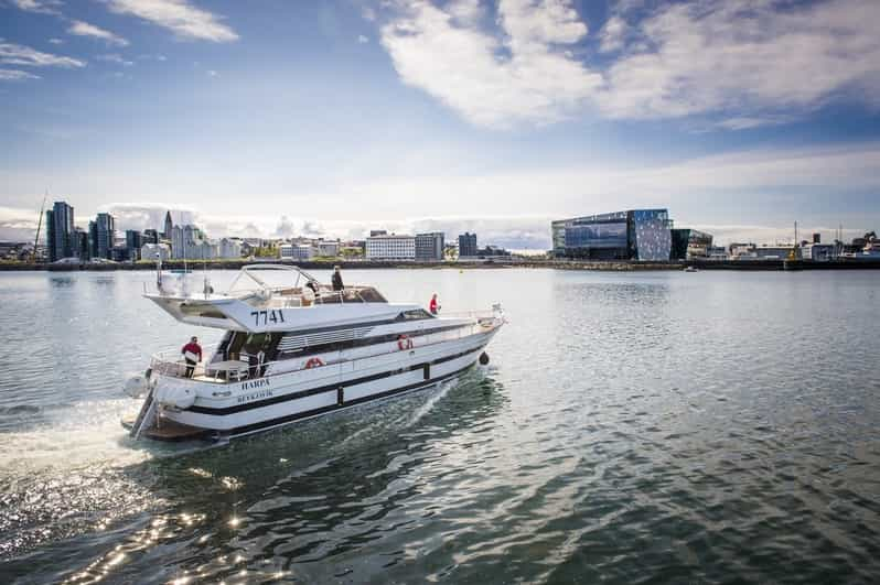 northern lights yacht cruise