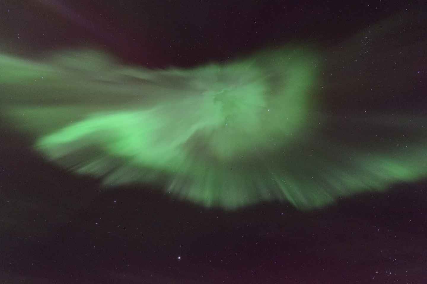 레이캬비크 새해맞이 오로라 요트 투어