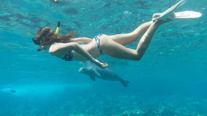 maui molokini snorkel performance sail with lunch