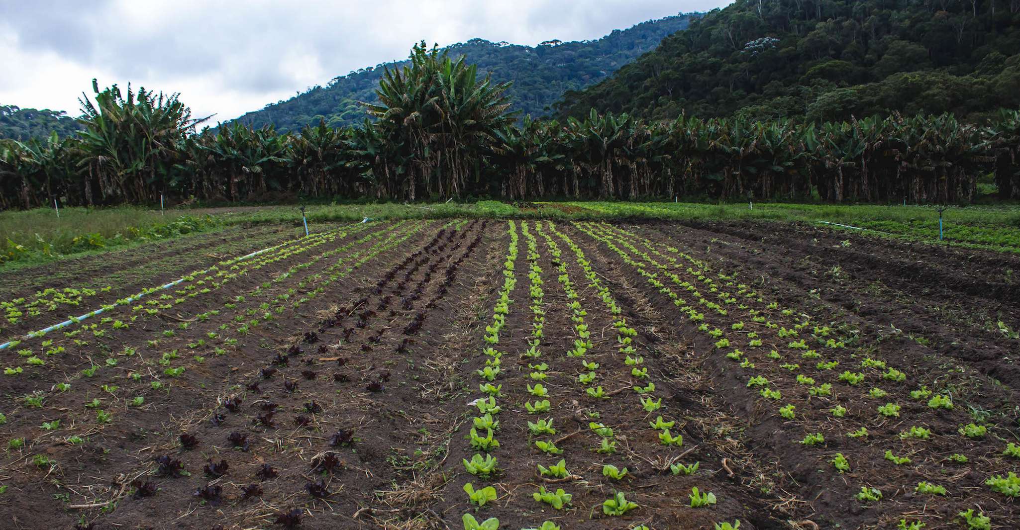 De Rio, Brejal Campagne Ferme et Nature Voyage d'une journée - Hizvo