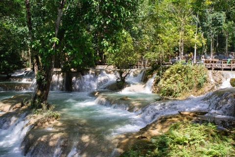 De Luang Prabang: Thin Pha Trail & Tad Sae Falls TrekSentier Thin Pha en petit groupe et randonnée guidée des chutes Tad Sae