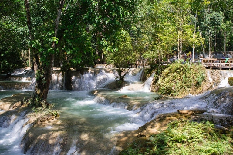 De Luang Prabang: Thin Pha Trail & Tad Sae Falls TrekRandonnée guidée privée Thin Pha Trail et Tad Sae Falls
