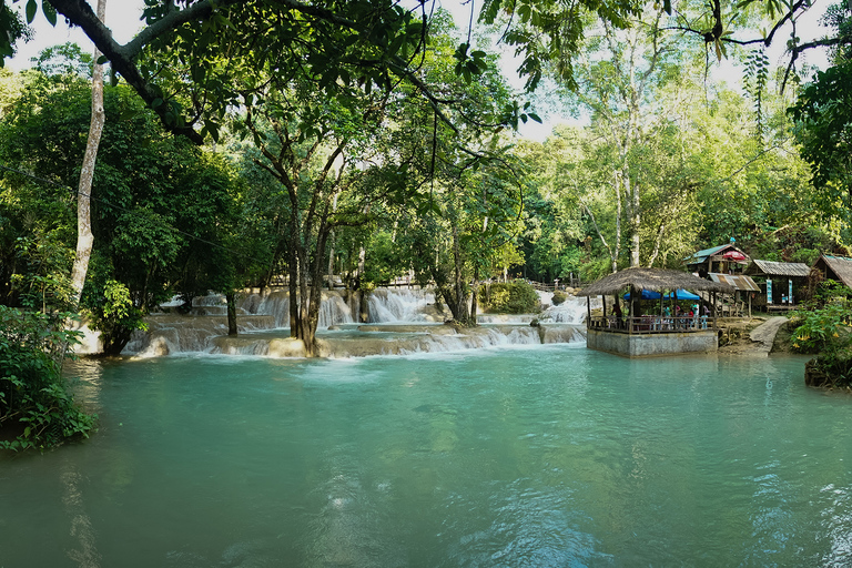 From Luang Prabang: Thin Pha Trail & Tad Sae Falls Trek Small-Group Thin Pha Trail & Tad Sae Falls Guided Trek