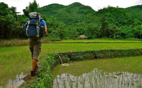 From Luang Prabang: Thin Pha Trail & Tad Sae Falls Trek