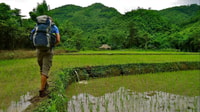 From Luang Prabang, Thin Pha Trail & Tad Sae Falls Trek - Hizvo