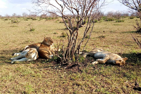 Lake Nakuru National Park Day Tour from Nairobi