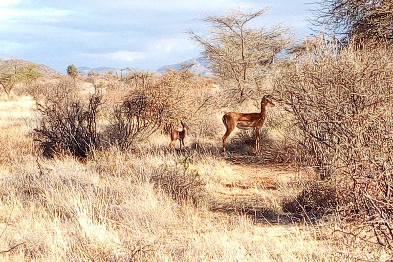 Lake Nakuru National Park Day Tour from Nairobi