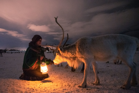 Tromsø: Reindeer Camp Dinner with Chance of Northern Lights