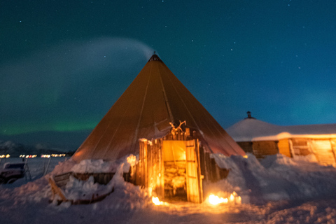 Tromsø: Reindeer Camp Dinner with Chance of Northern Lights