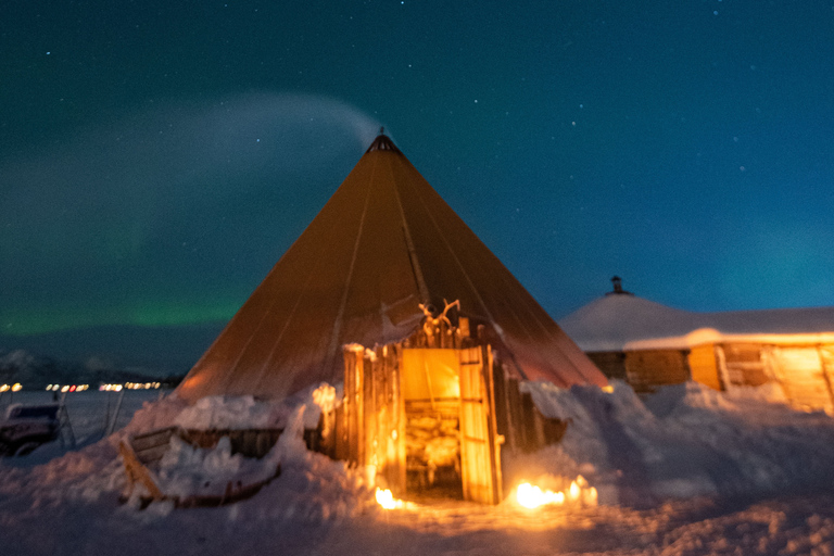 Tromsø: Reindeer Camp Dinner with Chance of Northern Lights